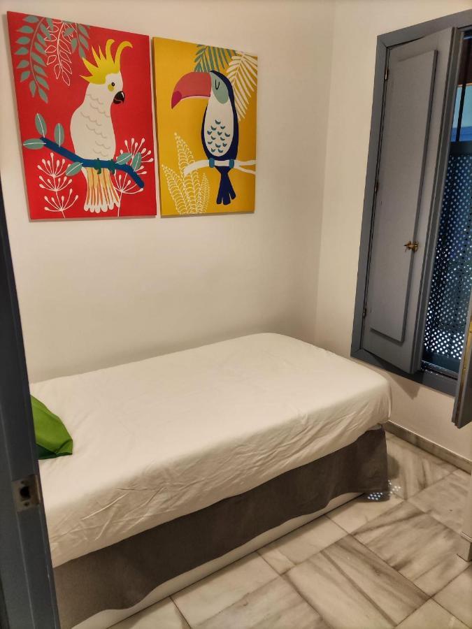 Coqueto Donkey Apartman Sevilla Kültér fotó